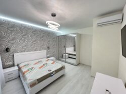 2-комнатная квартира с ремонтом в ЖК Омега