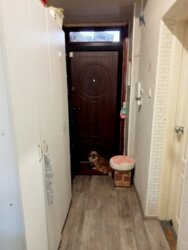 Двокімнатна квартира в центрі міста