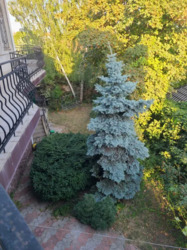 Великий будинок в закритому кооперативі