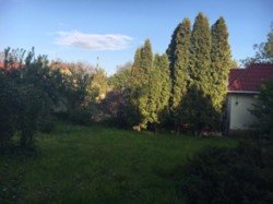 Будинок з ділянкою 11 соток на вулиці Пілотна