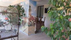Окрема будівля на 6-ій Фонтану під клініку, представництво, офіс