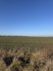 Земельна ділянка в передмісті Одеси
