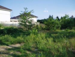 Фасадна ділянка 9 соток