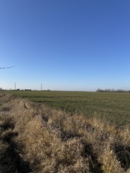 Земельна ділянка в передмісті Одеси