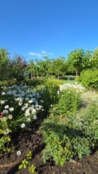 Кутова ділянка в Дайбергу недалеко від парку, комунікації сплачено!