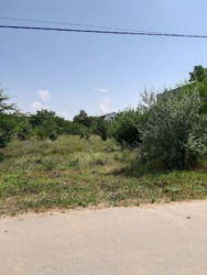 Участок в Сухому Лимані, вул. Молодіжна